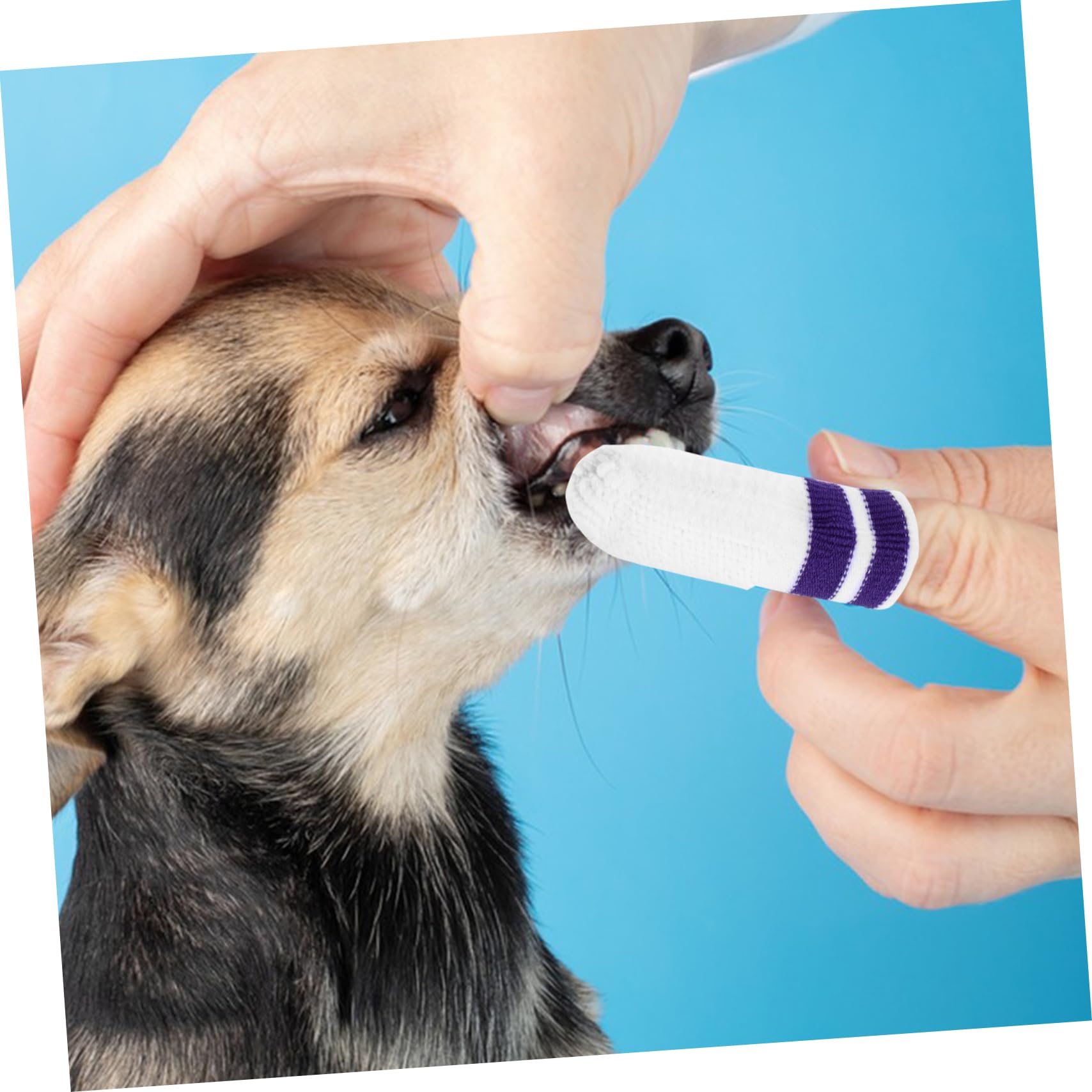 BESPORTBLE 30pezzi Spazzolino Per Denti Per Animali Domestici Nylon Per Cani e Gatti Strumento Di Pulizia Orale Con Design Comfort Per Cuccioli e Gattini