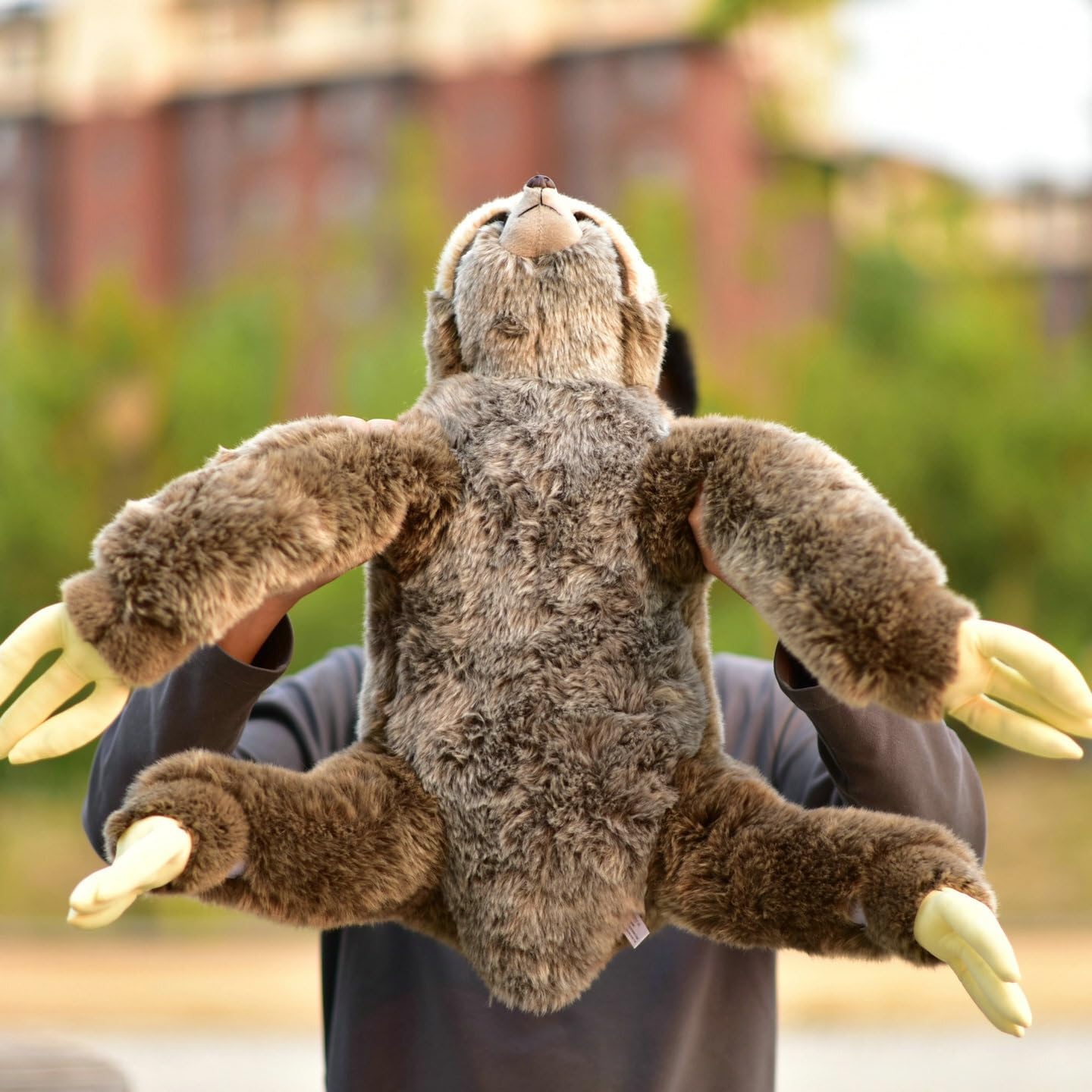 Grande peluche bradipo, animale di morbido e coccoloso