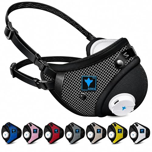 RZ Mask RZM3 Patented Dust Mask, Carbon Filtration