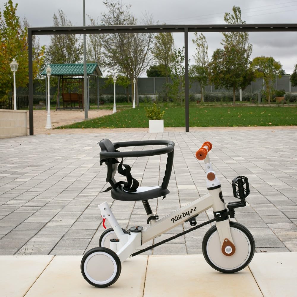 Interbaby Norby: 5 in 1 Dreirad und Laufrad mit Verdeck, 1 bis 5 Jahre