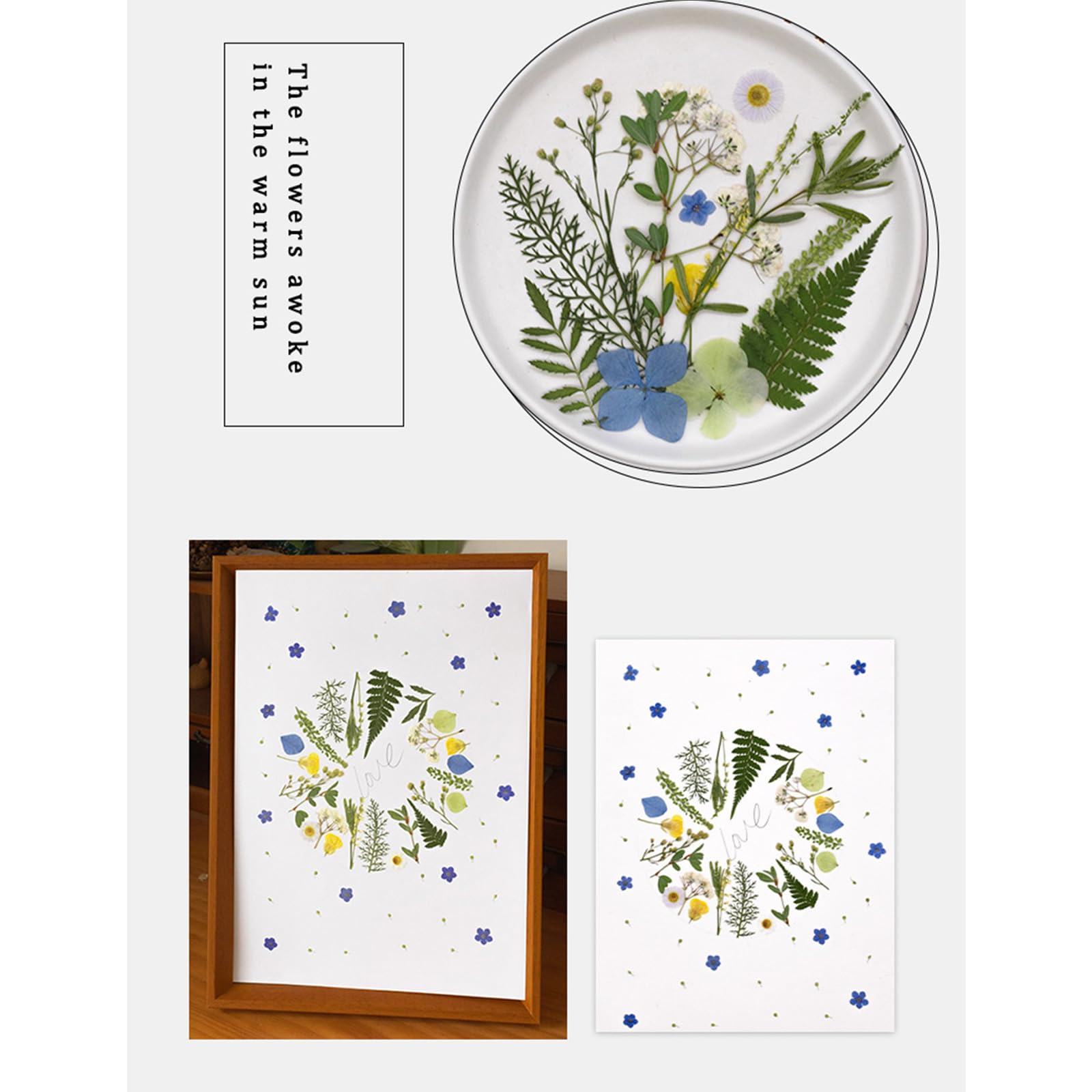 Cinvo 90 pezzi di veri fiori e foglie pressate, essiccate, petali di fiori naturali, essiccate, per candele, resina, gioielli, sapone, ciondoli per unghie, artigianato per telefono