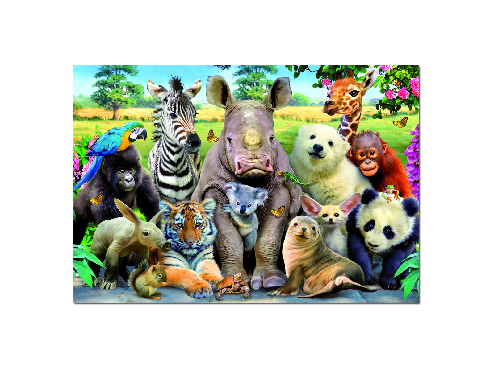 Educa - Selfies Series. Photo by Classe. Puzzle for Adults. 1000 pieces (15517)