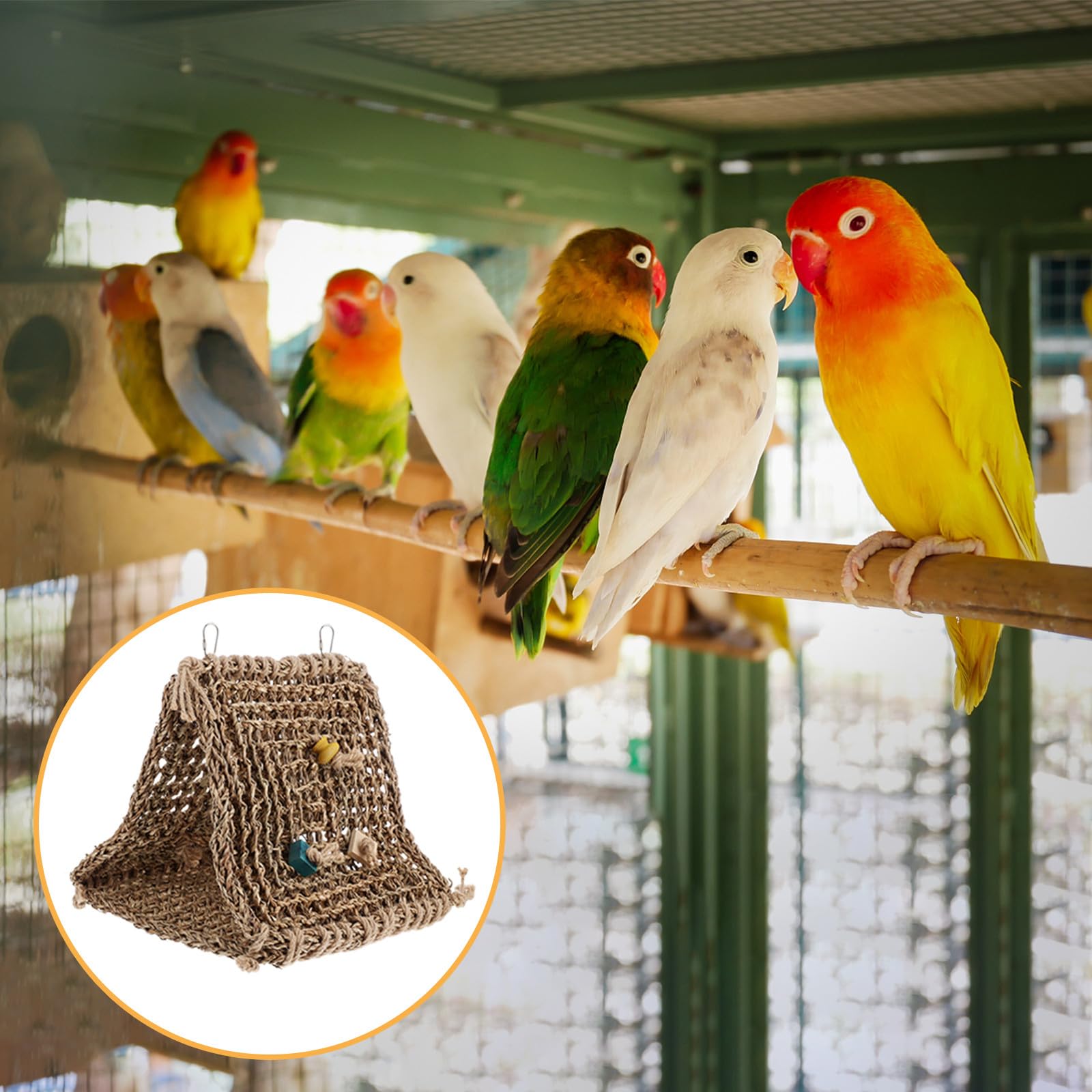 Cabilock Rustikales Rattan Vogelschlafnest als Hängematte für Papageien und Kleine Vögel Waschbarer Schlafplatz mit Praktischem Zufälligem Zubehör für Käfige Zufälliger Stil