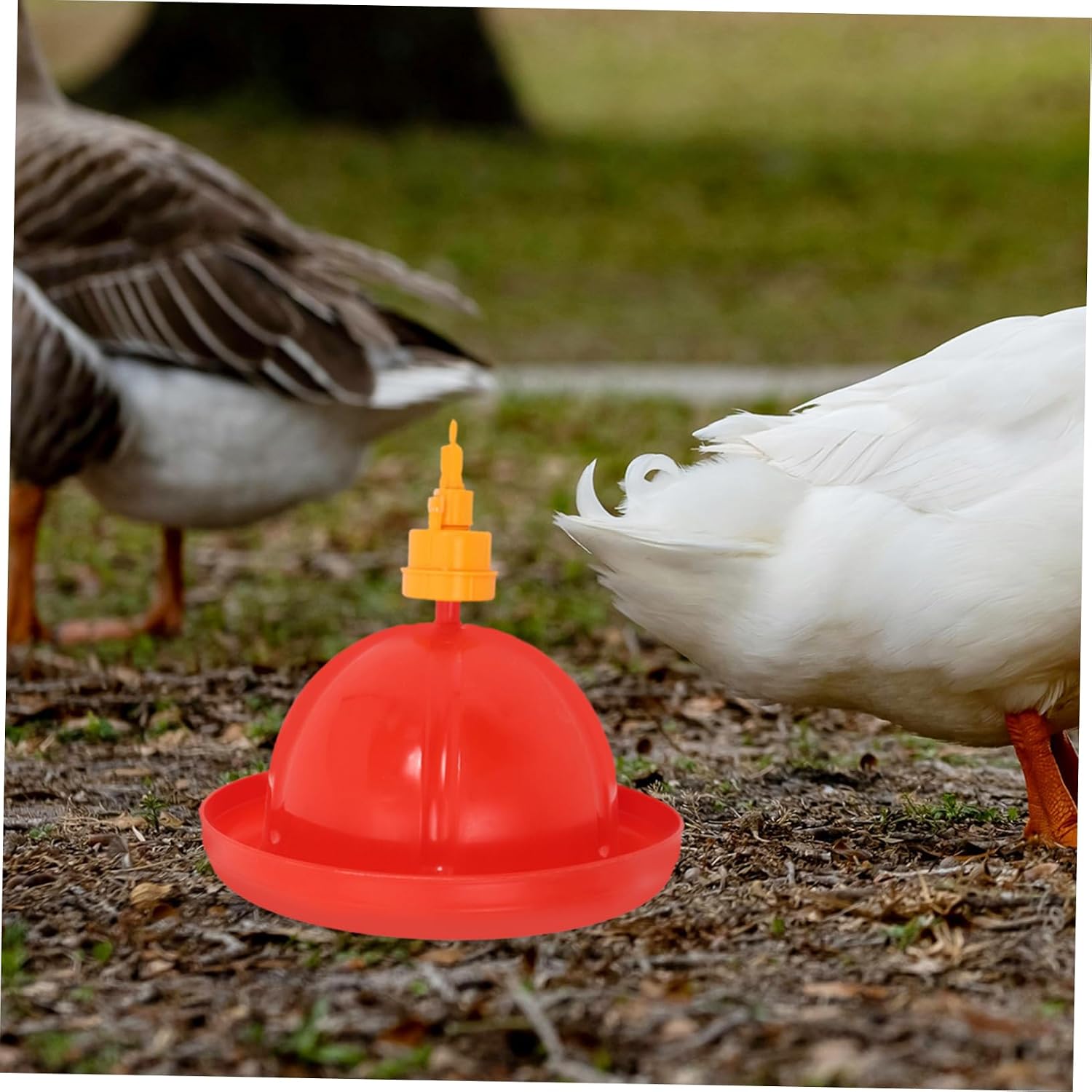 POPETPOP Chick Feeder Waterer Kit Automatic Chicken Waterer Poultry Drinking System for Ducks Geese