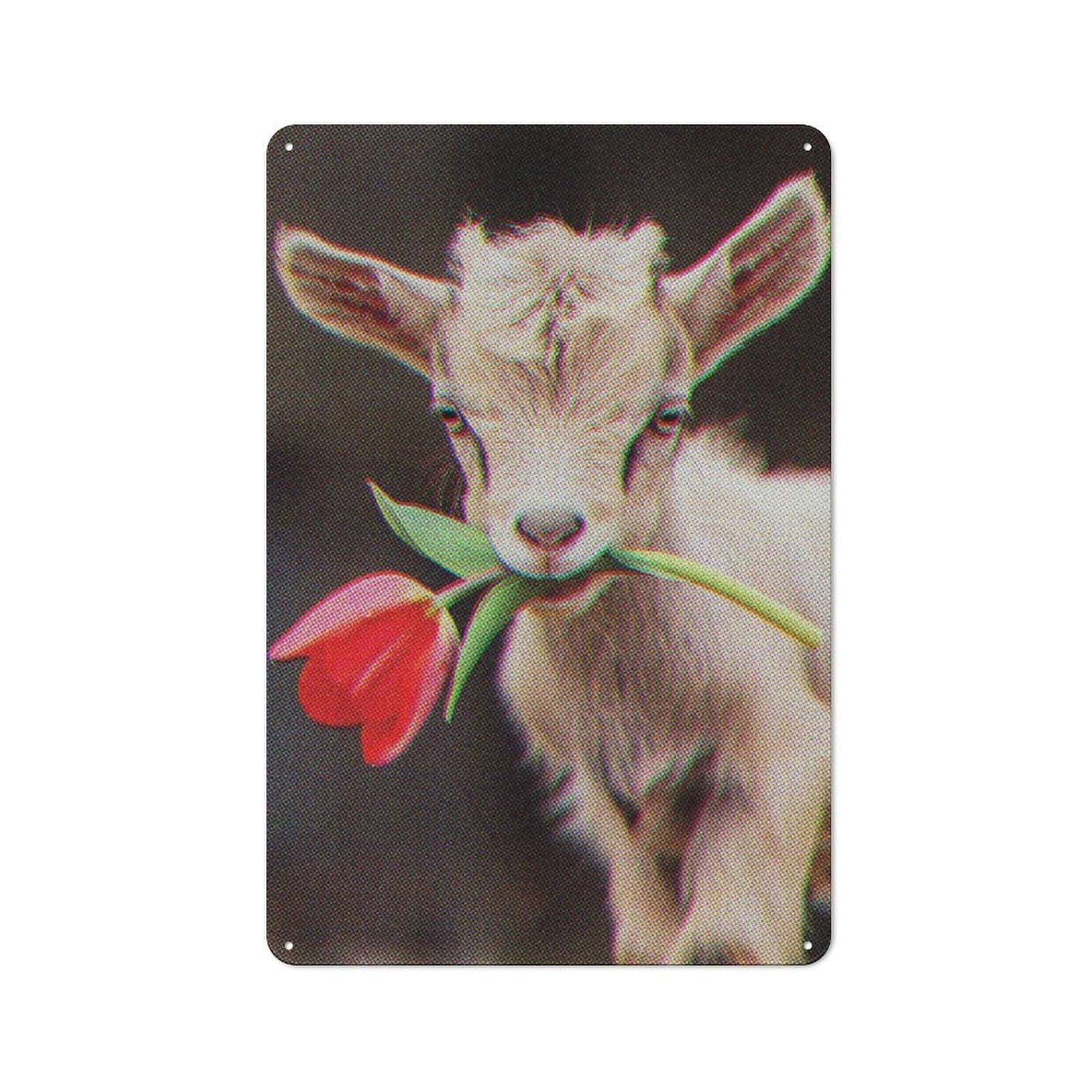 Junmoney Cute Goat 30X20cm Industrial-Style Tin Sign With For Hallway Wall, A Metal Wall Feature For A Newly Arranged Hallway
