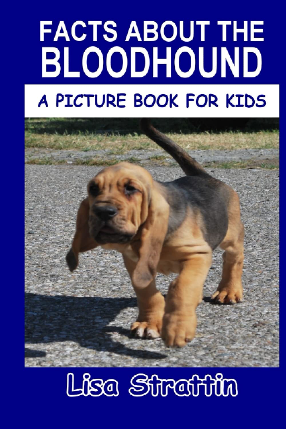 Facts About the Bloodhound (A Picture Book For Kids)