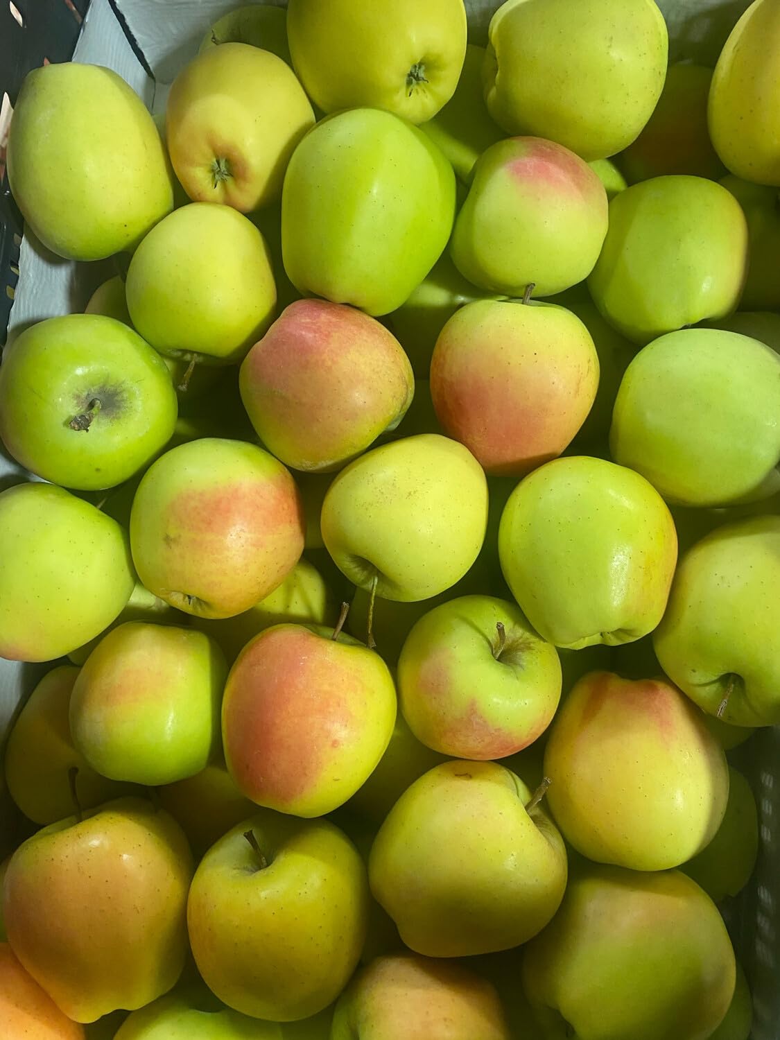 BAMELO® Äpfel Golden Delicious frische,säftige Äpfel Box 3 Kg
