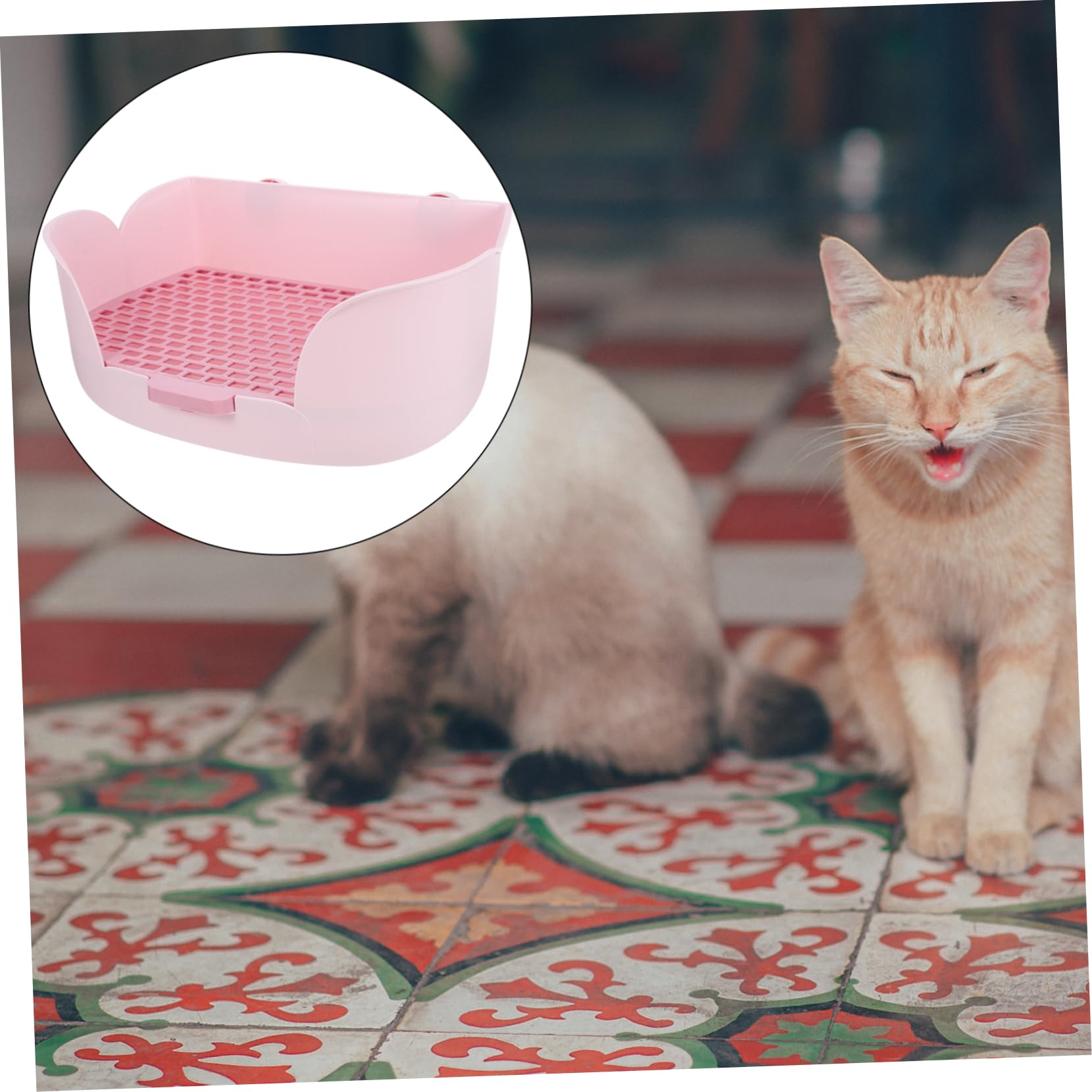 Lettiera per Piccoli Animali Scatola Toilette per Conigli e Cavia Design Pratico e Colore Vivace per Ambienti Puliti e Confortevoli