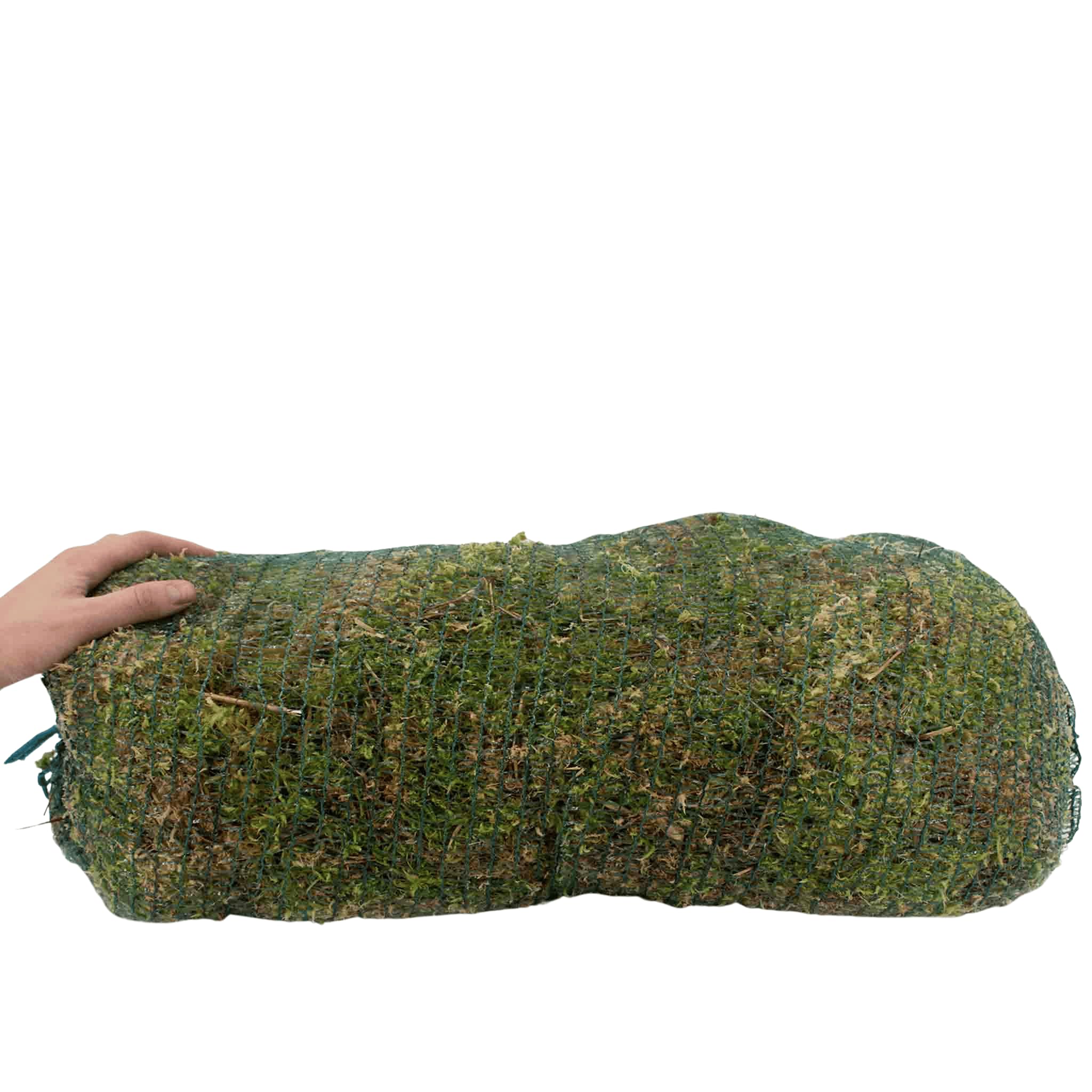Sybotanica Mech torfagnum 36 l, mech sphagnum do storczyków i terrarium