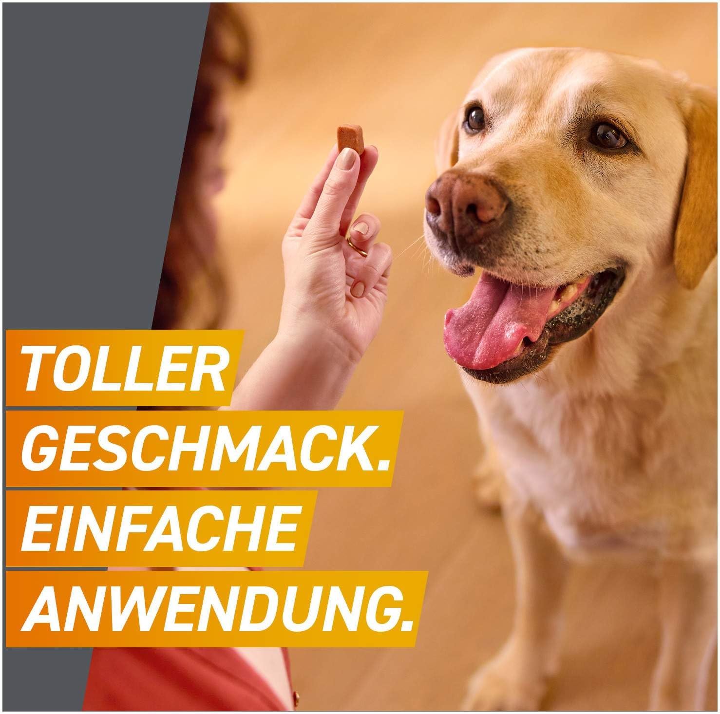 Frontpro 68 mg für Hunde 10-25 kg 3 Kautabletten + gratis Fellhandschuh