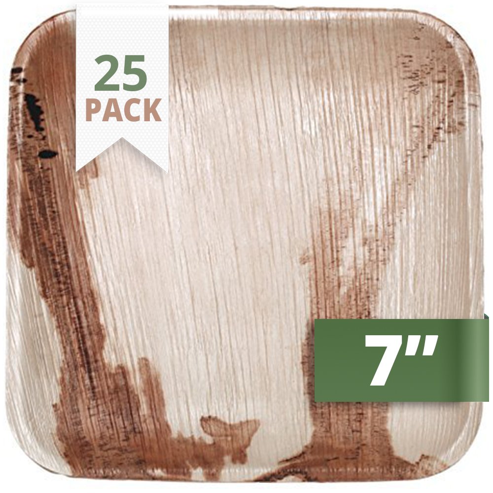 CaterEco 25 Counts 17 x17 cms Square Palm Leaf Dinner Plates, Multicolour