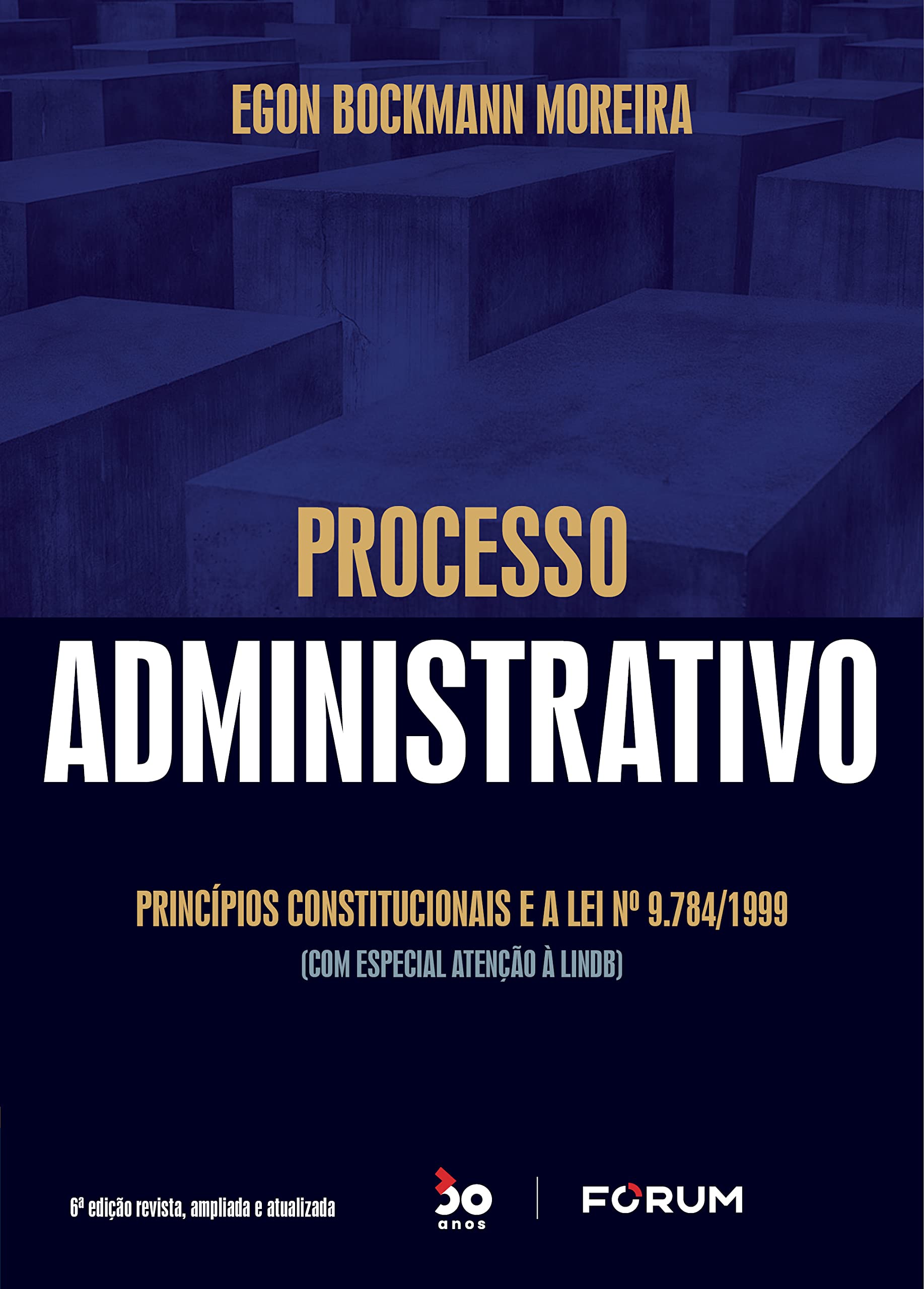 Capa de Processo Administrativo - Princípios constitucionais e a Lei nº 9.784/1999 (com especial atenção à LINDB)