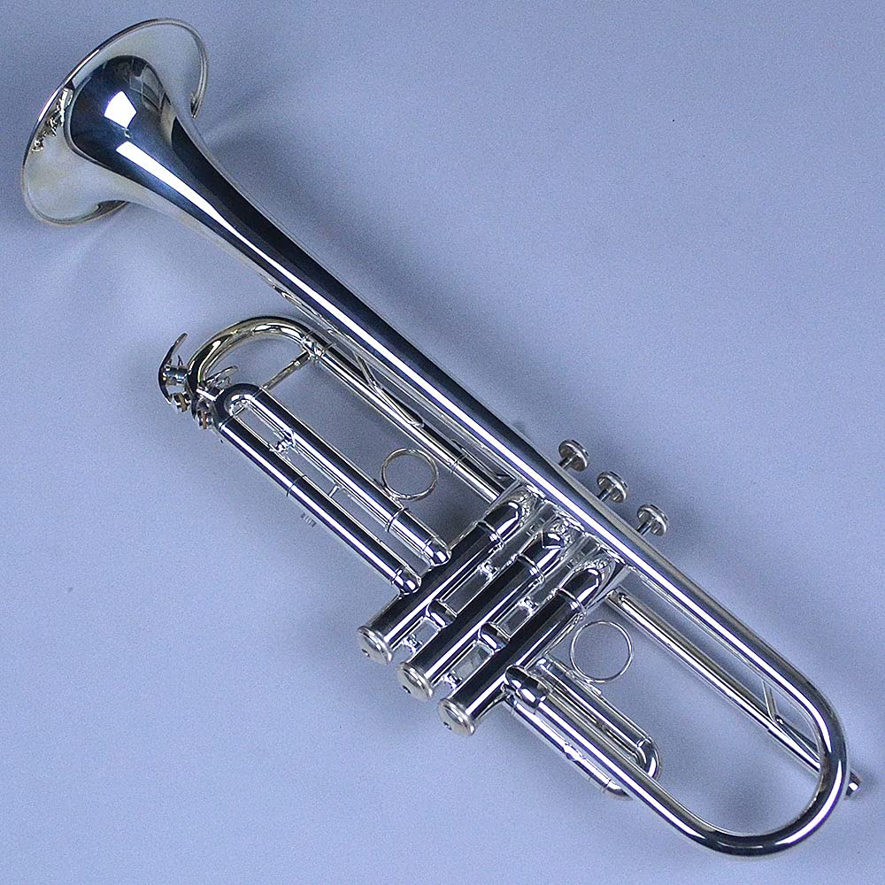 Amazon.co.jp: Festi FTR-800S Trumpet Festival : Musical Instruments