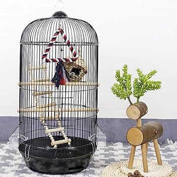 鳥籠 Amazon.co.jp: 鳥籠 インコ 家は鳥かごを掛けることができます