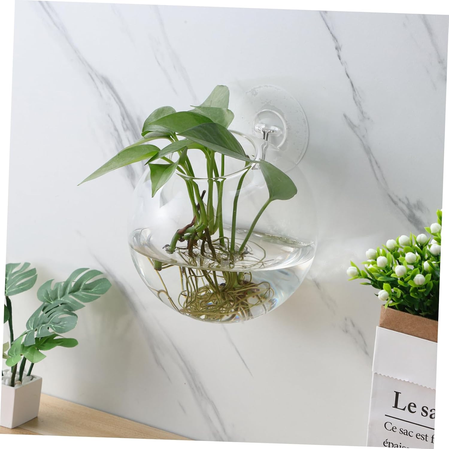4pcs Wall Mounted Glass Planters Round Globe Propagation Stations for Water Plants Holder Transparent Terrarium Vases for Home Office Living Room