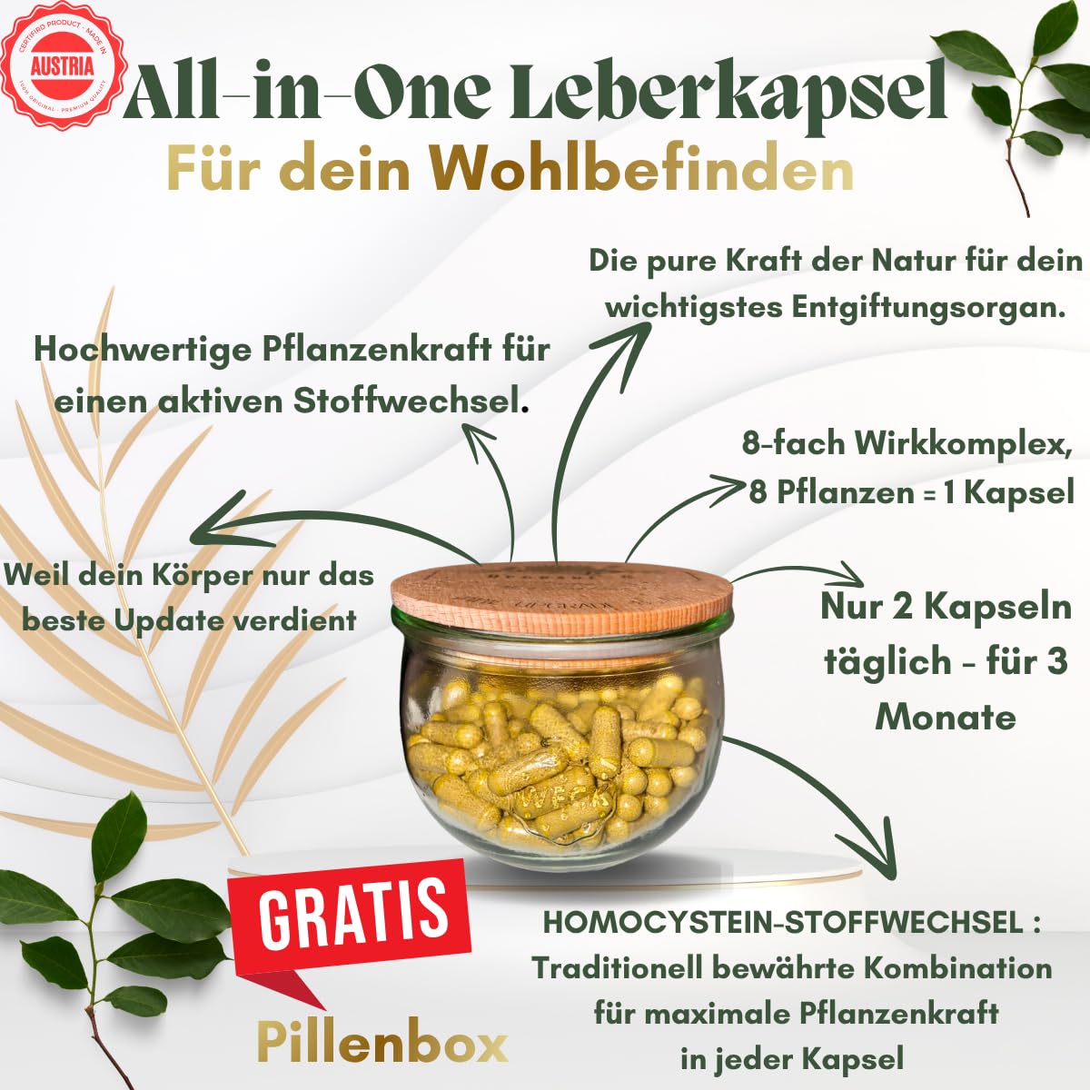 Leber-Kur für 3 Monate 180 Kapseln, 8-Fach-Komplex Mariendistel Kapseln hochdosiert mit 80% Silymarin Artischocke, Löwenzahn, Curcuma, Ingwer, Vegan & Laborgeprüft + Gratis-Geschenk
