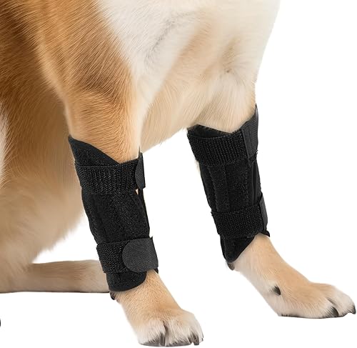 Manga negra para patas de perro, par de soportes delanteros para piernas que protegen las heridas para dejar de lamer, soportes para perros para