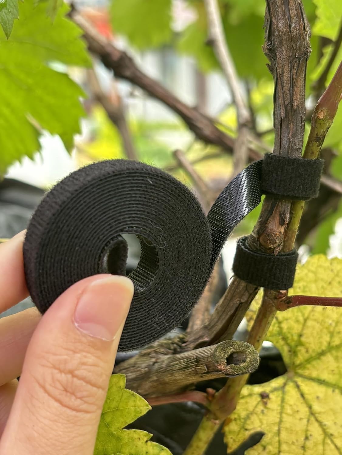 3Rolls 200CM/Roll Nylon Plant Ties Resealable Cable Twine Self Adhesive Plant Fastener Tape for Support Garden Supplies,Black