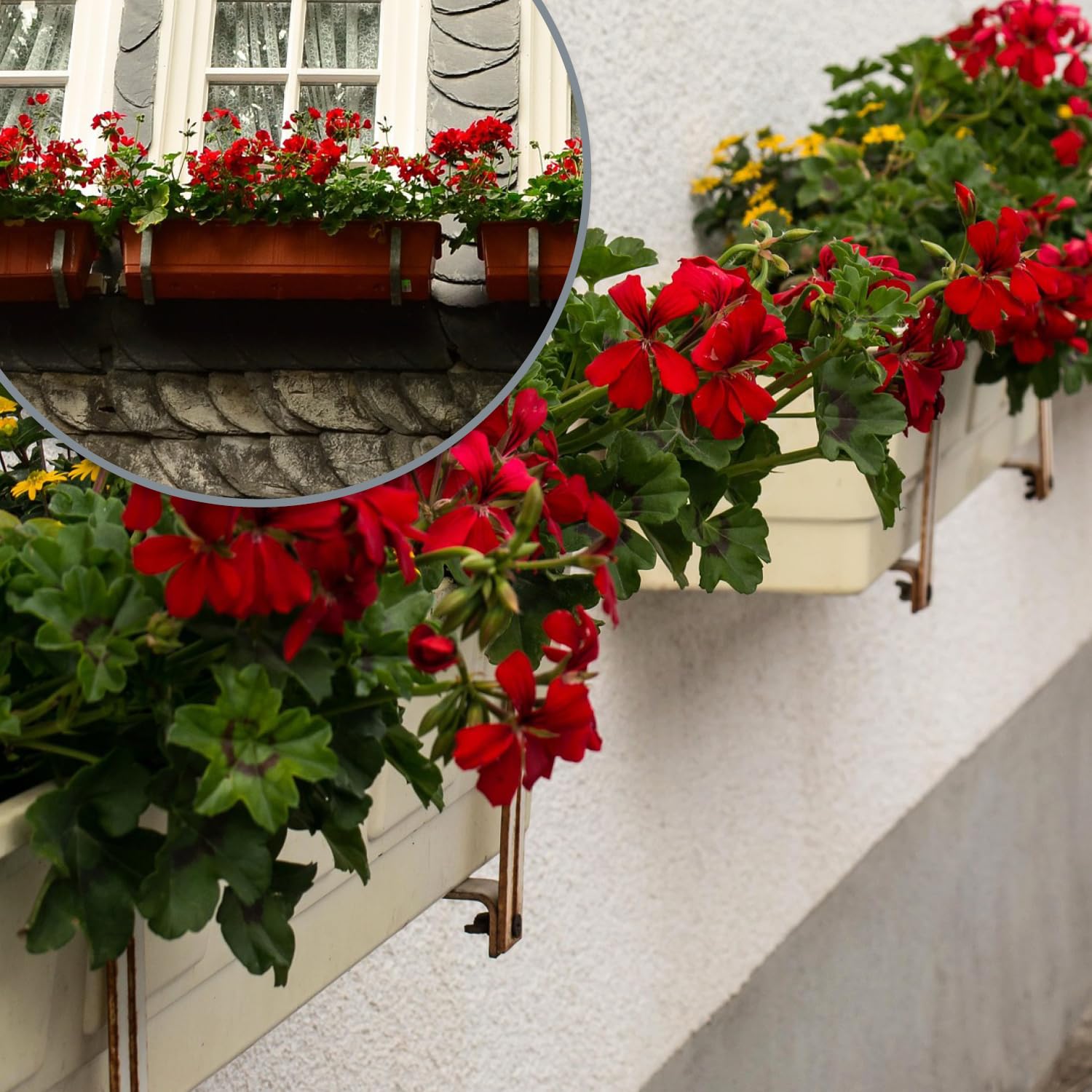 com-four® Lot de 8 Supports Jardinière Balcon et Garde-Corps