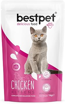 Bestpet Yavru Kediler  in, Tavuk Etli Ve Pirin li Kuru Mama, 1 kg