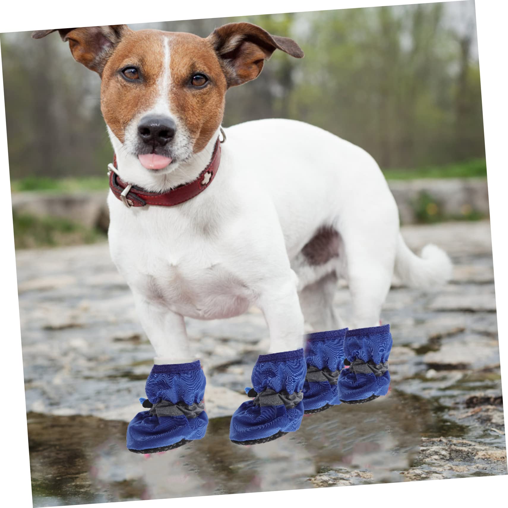 SUPVOX 9 Set Stivali per Cani da Compagnia Puppy pupphub Calzini Invernali per Animali Domestici Scarpe da Cucciolo Resistenti all'Acqua Stivali da Pioggia Scarpe per Animali Domestici