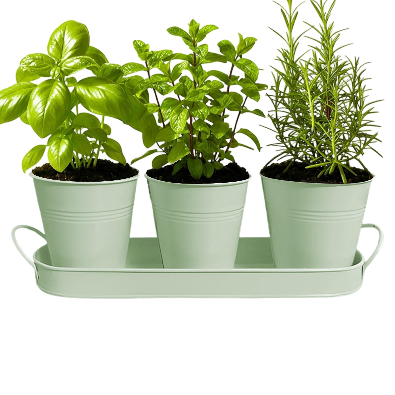 Pots de fleurs d'intérieur récipient plantation métal jardin