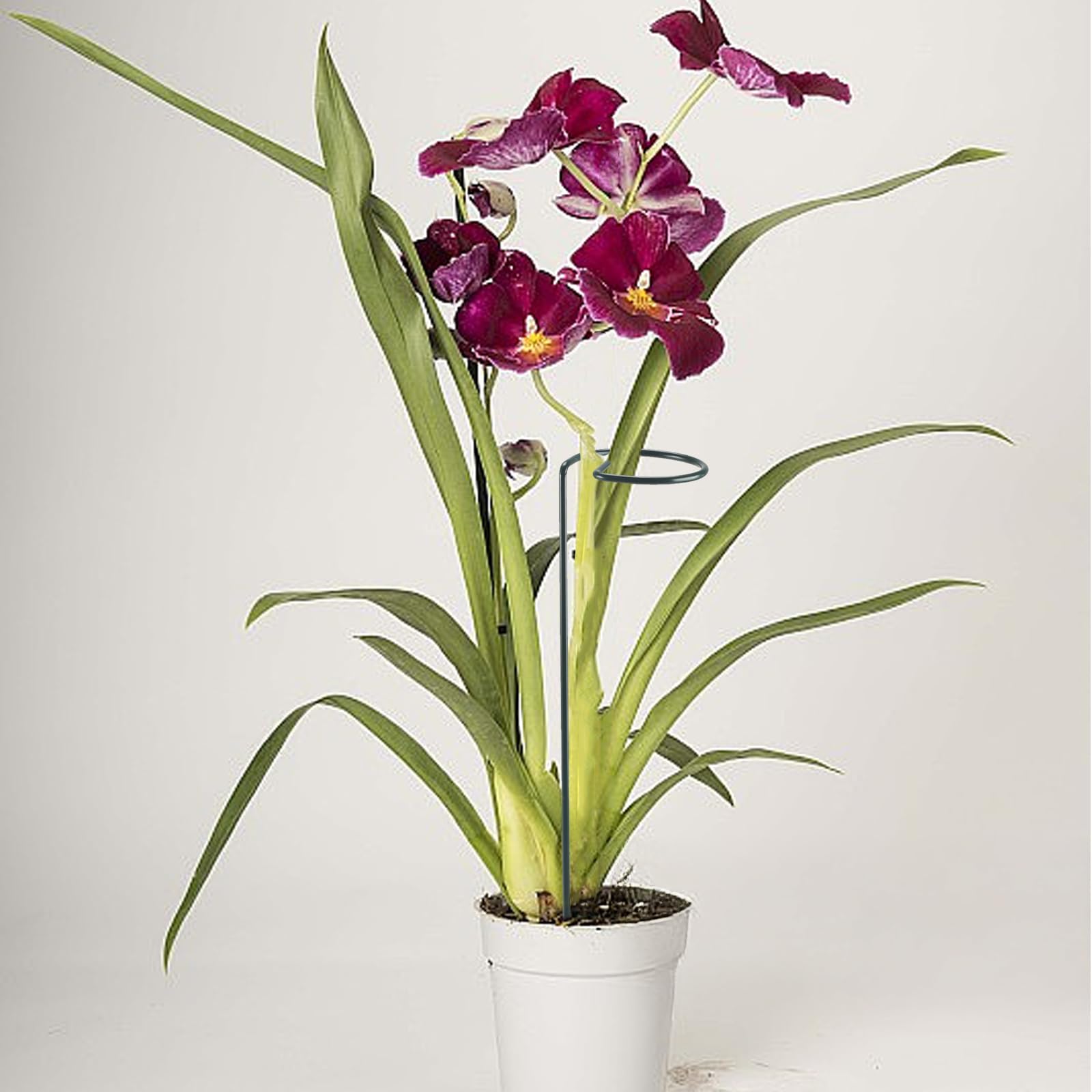 20 Tuteurs Plantes Avec Anneaux Et Attaches - 40 Cm, Fibre De Verre, Pour Orchidées, Tomates... - 6