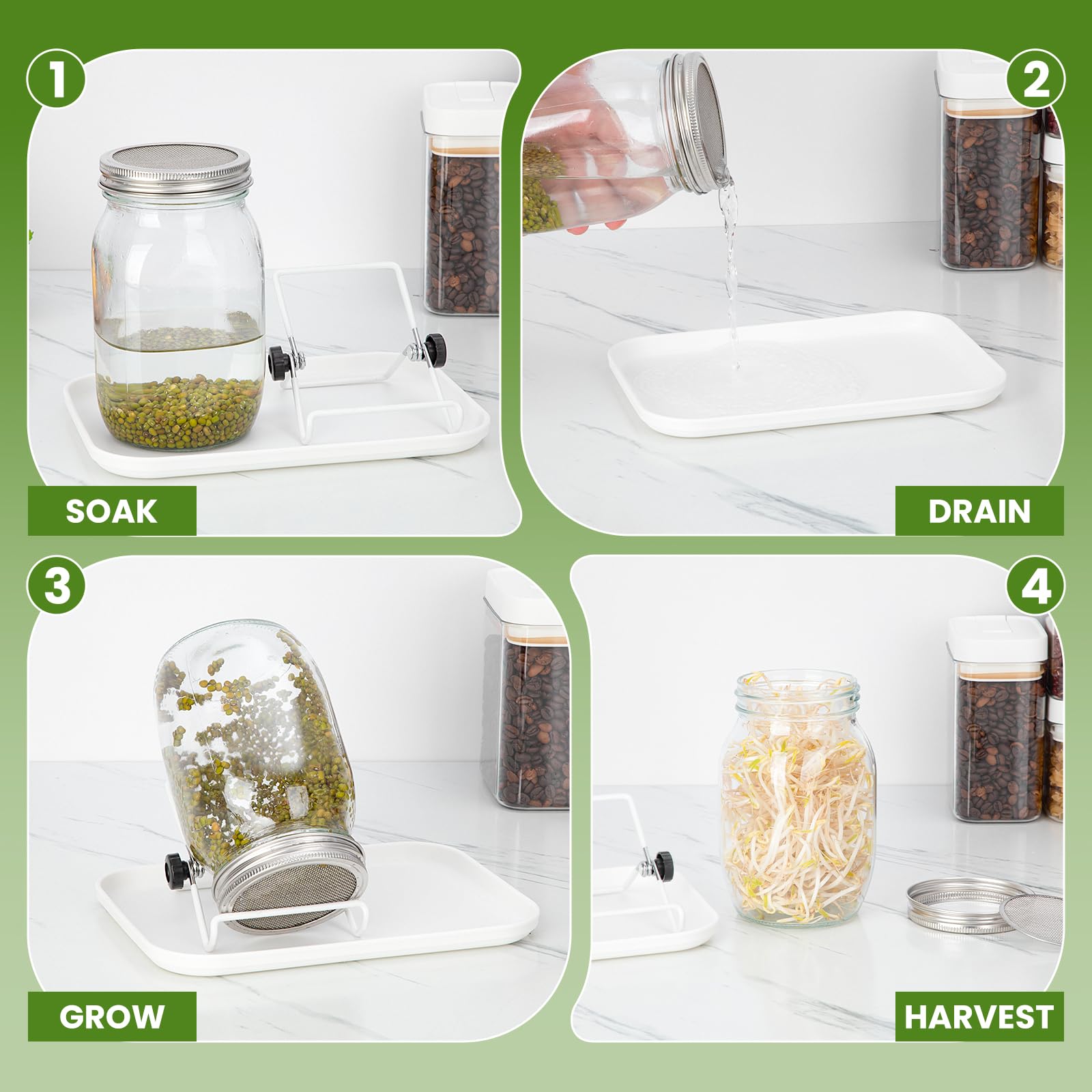 Germoir pour Graines à Germer en Verre, 2 x 1000ml Bocal de Germination avec Couvercle en Acier Inoxydable, Support Réglable et Plateau Blanc, pour Lentilles, Alfalfa, Haricots Mungo