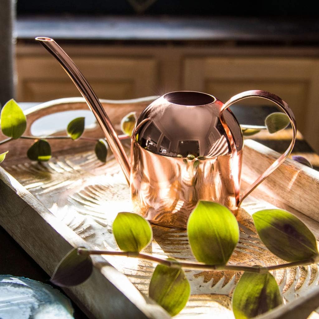 Smouldr Mini Plant Watering Can Indoor: Rose Gold Small Watering Can Helps You Water Tiny House Plants, Succulents, Bonsai or Herb Gardens - Steel Plant Waterer for Miniature Flower Pots - 15 Ounces : Patio, Lawn & Garden