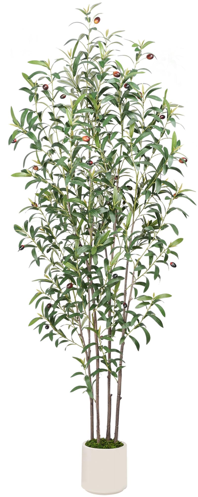 TAMIAIA™ Premium Artificial Olive Tree 6FT - Faux Olive Tree Artificial Indoor for Home Decor, Tall Fake Plants Olive Tree with Lifelike Branches & Greener Leaves & Ripe Fruits (5FT, 4-Trunk)