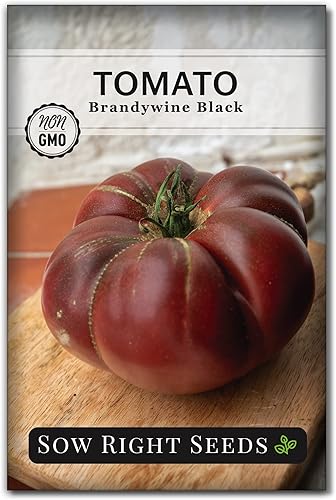 Sow Right Seeds - Semillas de tomate negro Brandywine para plantar - Cortador de carne con color morado oscuro - Semillas de tomate tradicionales