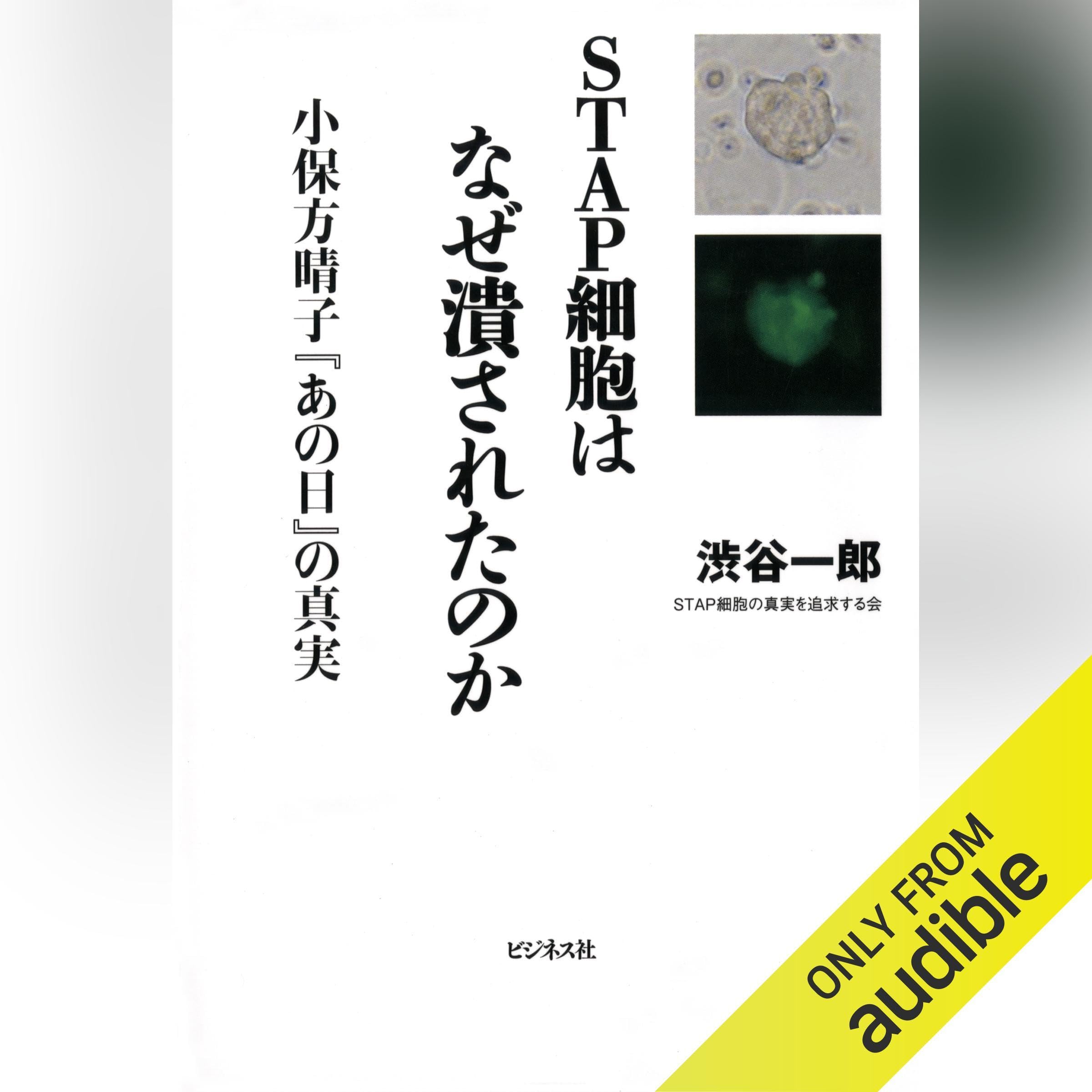 スタップ 細胞 最新