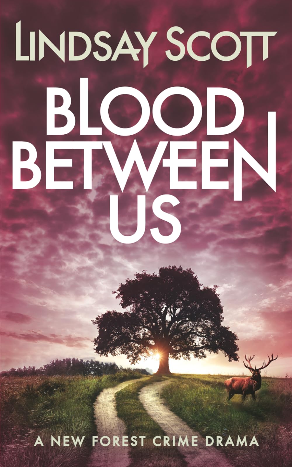 Blood Between Us: A Gripping Crime Drama of Family Secrets and Betrayal (New Forest Crime Drama)