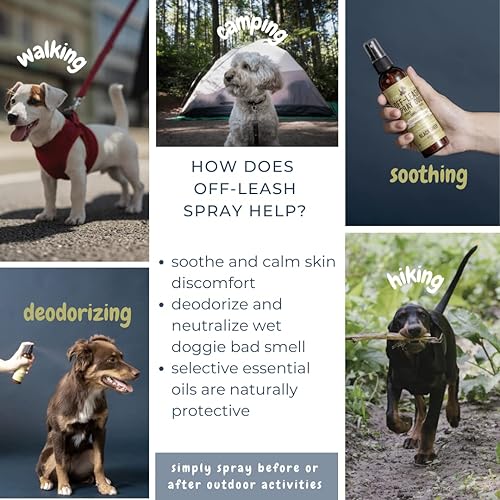 Miniatura 3 de Spray desodorante: Spray de aseo al aire libre para perros de hierba de limón y menta - Ambientador en aerosol para el cuerpo del cachorro fabricado