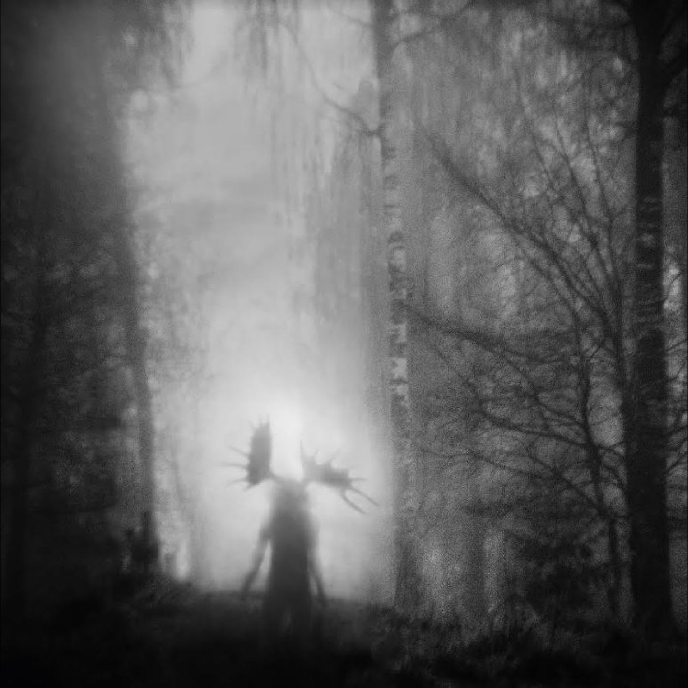 From the Infinite Light [VINYL]