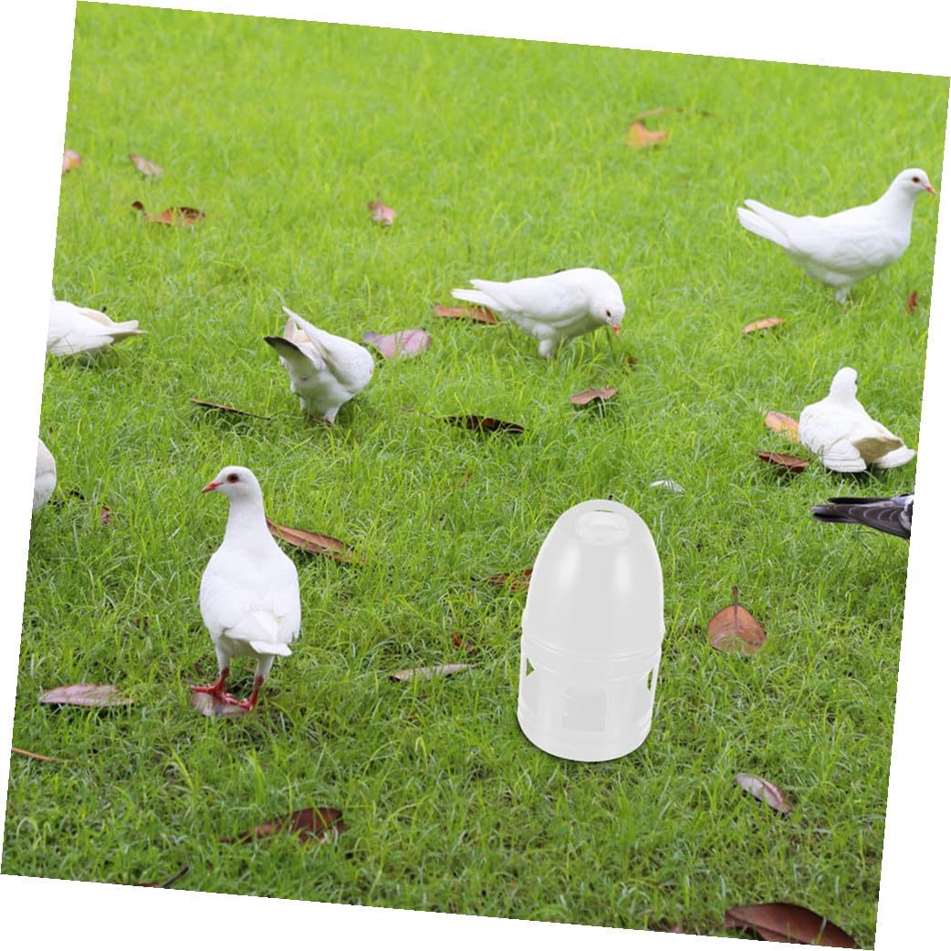 Luxshiny 2 Stück Pack Tauben Wasserspender mit 3l Fassungsvermögen Hänge Wasserflasche aus Kunststoff Vogeltränke für Tauben und Kleine Vögel Glatte Oberfläche Leicht zu Reinigen Geeignet
