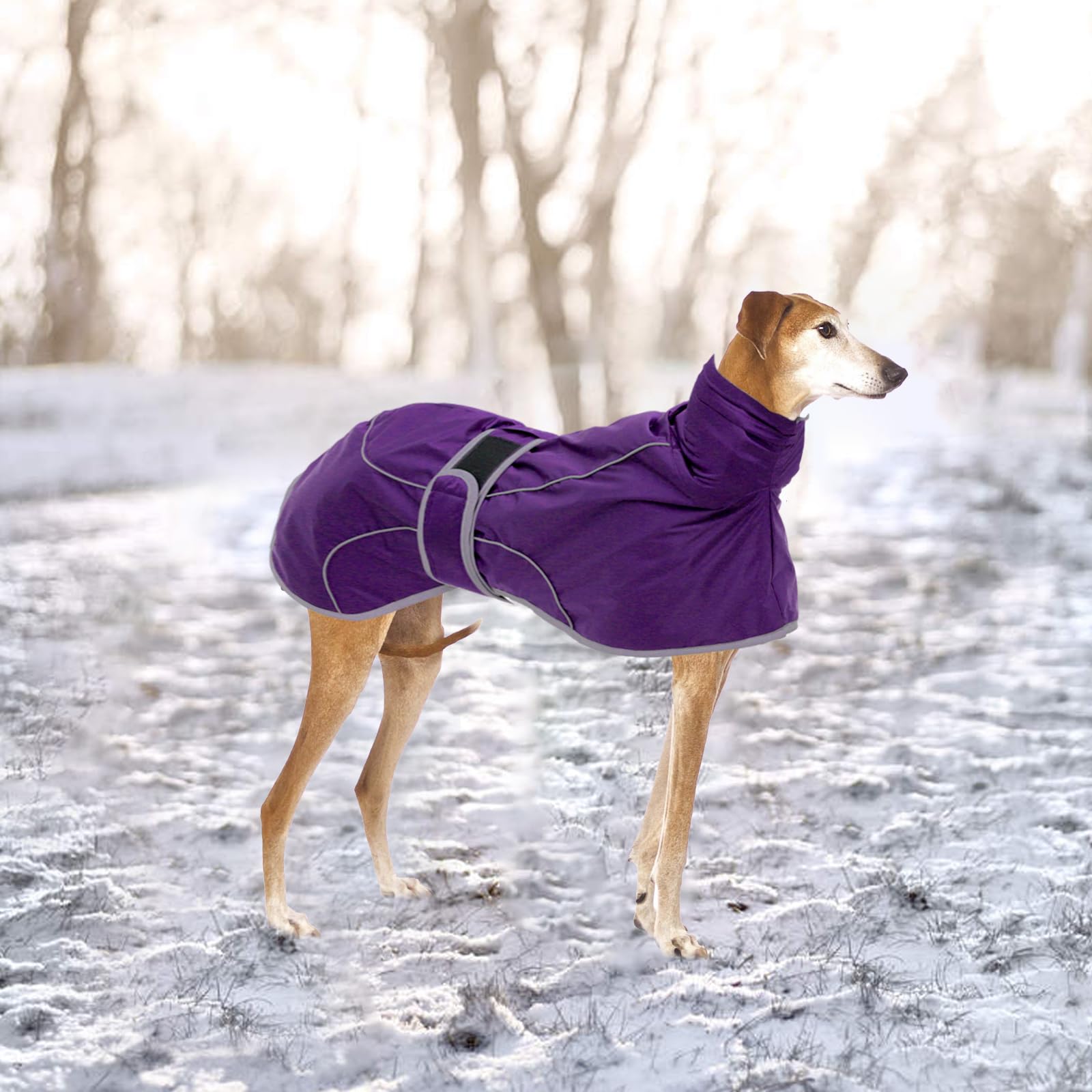 Geyecete- Manteau d'hiver Imperméable pour Lévrier,Pull de Chien avec Polaire Chaude,Réglable Veste avec Trou de Harnais, pour Moyenne et Grande Chiens Levrier,Galgo,Whippet,Lucher-Violet-M