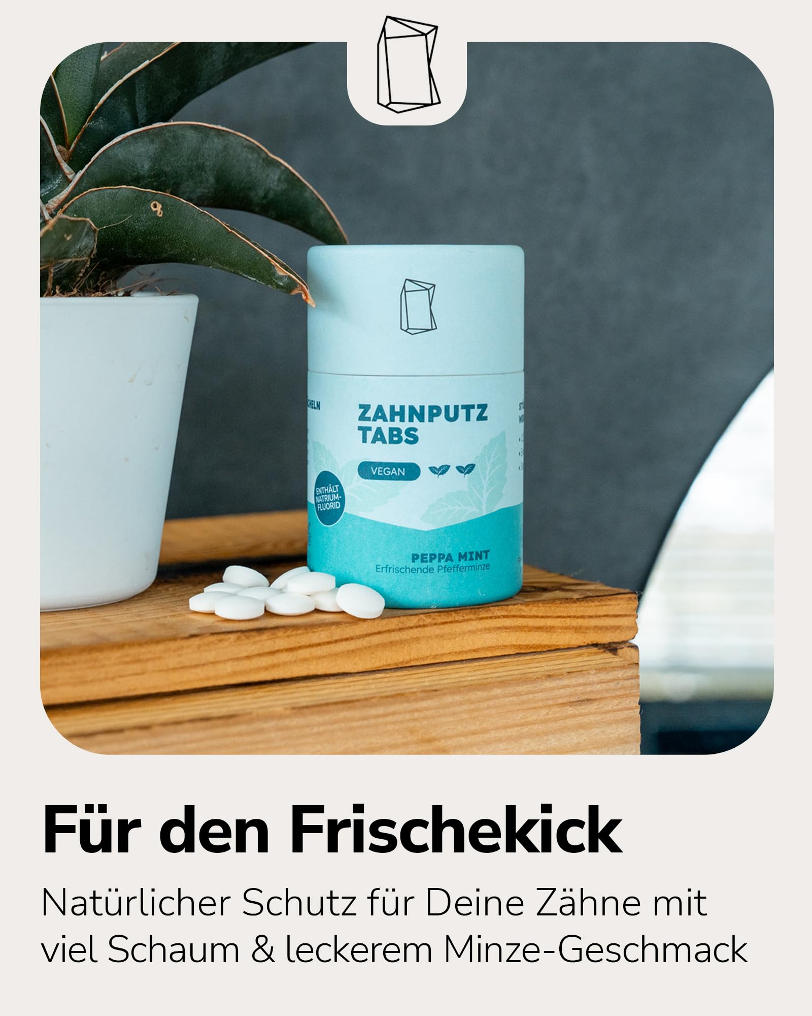 Duschbrocken Feste Zahnpasta Komplettpaket - Set aus 3x Zahnputztabletten, 2x Bambus-Zahnbürste & Zahnpflege-Zubehör - Vegan & Plastikfrei - 93g
