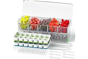 Dimber Chilled Condiment Server with Lid, Perfect for Ice Cream Bar, Salad, Mimosa, Fruit Bar