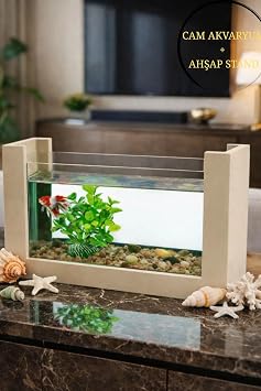 Reyo OK-AY Store Beta Balığı İçin Ahşap Mini Akvaryum Modern Şık Doğal Minimal Tasarım Akvaryum Krem