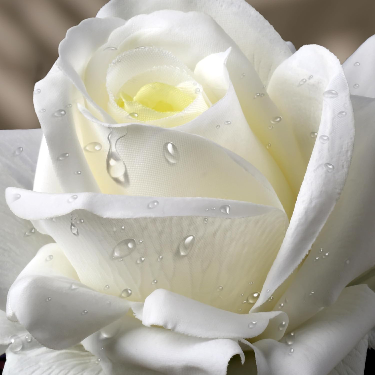 Eyamumo Fake Flowers, Faux Silk Real Touch Artificial Rose Flowers for Decoration DIY, Wedding Party, Home Office Decoration and Dining Table Centerpiece, 7Pcs (White-30cm, 30CM) - Image 4