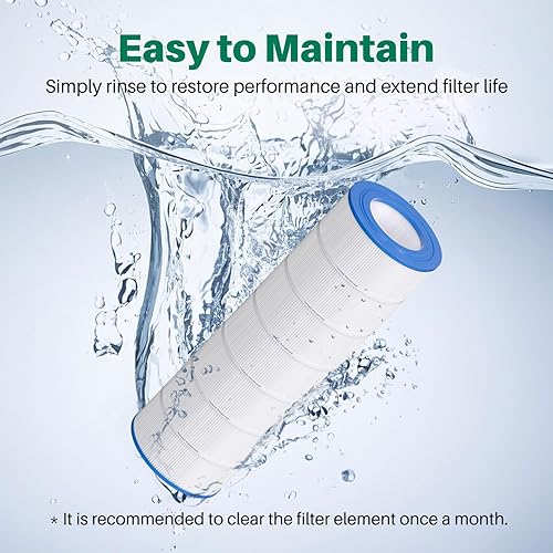 Miniatura 6 de TOREAD Filtro de piscina que sustituye a Pentair Clean and Clear 200, CC200, Unicel C-9419, Filbur FC-0688, 1 paquete