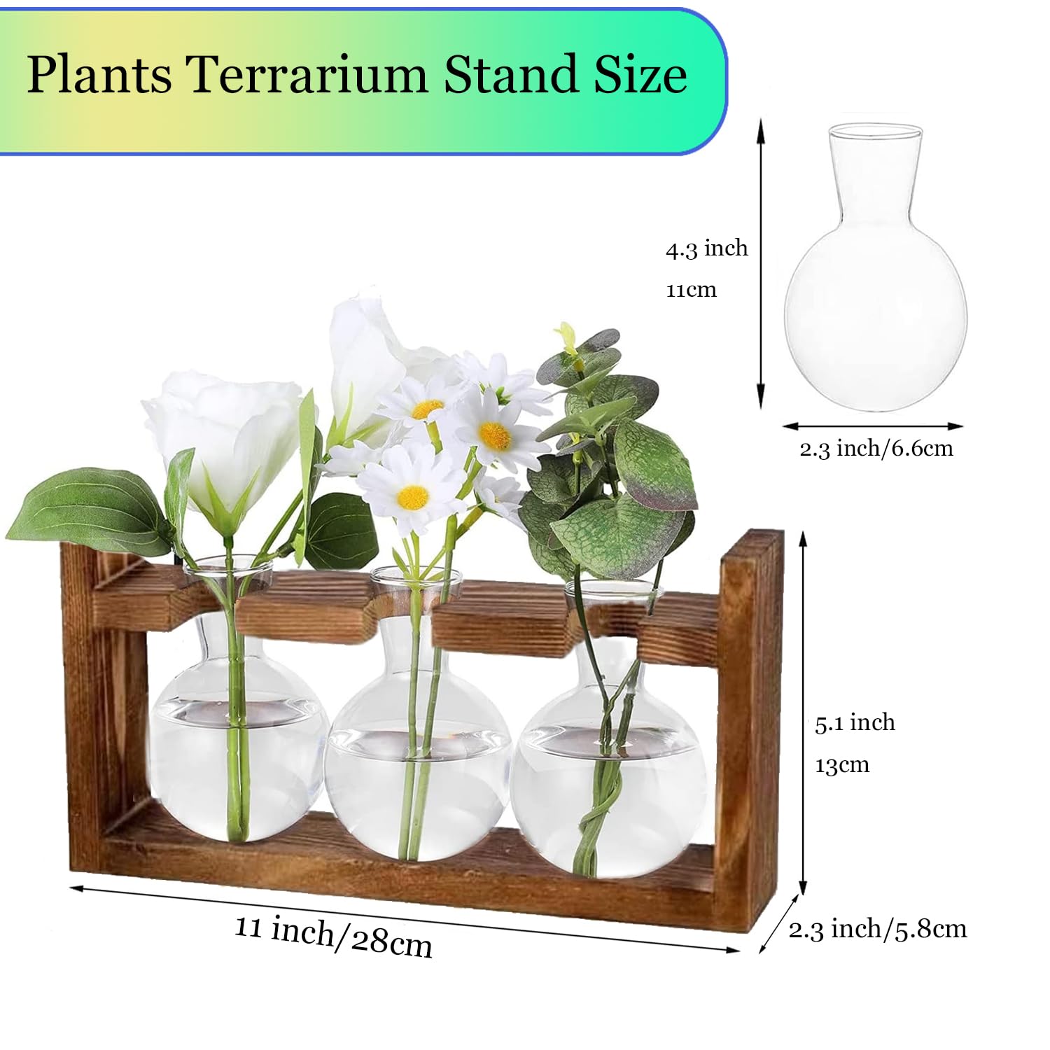 Kingbuy Glas-Pflanzgefäße Set – 4 Hängende Terrarien Für Luftpflanzen & Deko