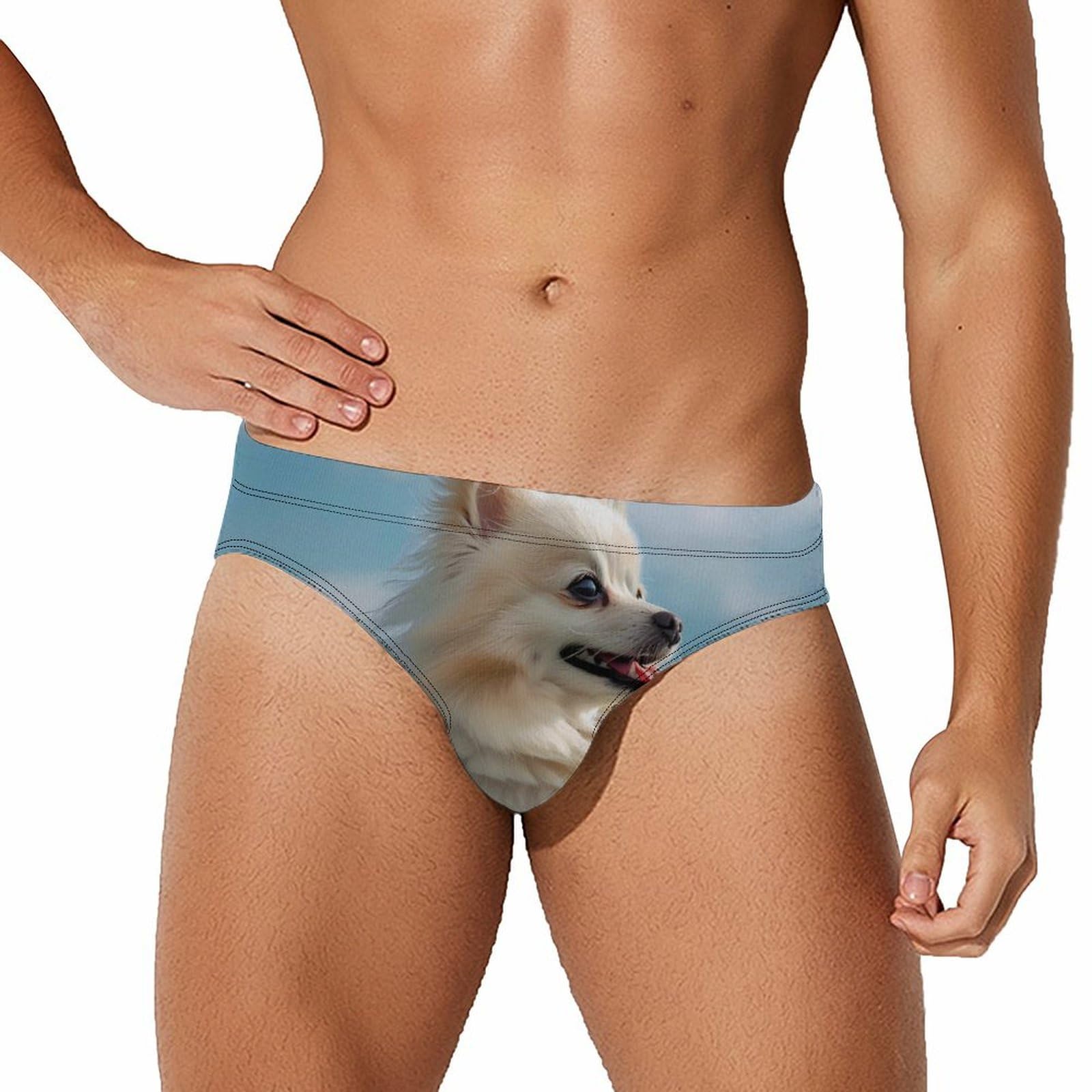 Pomeranian Mens Swim Briefs Bikini Swimwear Print Beach Shorts Sexy Swimsuit 3XL