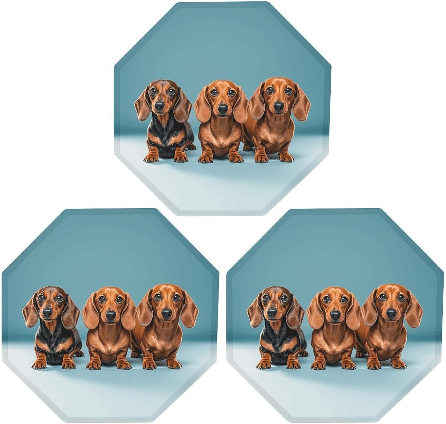 Ctagon Metal Sign for Home, Modern Display Plate for Kitchen, Three Dachshunds Plates Accent Hanging Wall Decorations 3PCS for Living Room, Bedroom, Hallway, Hotel