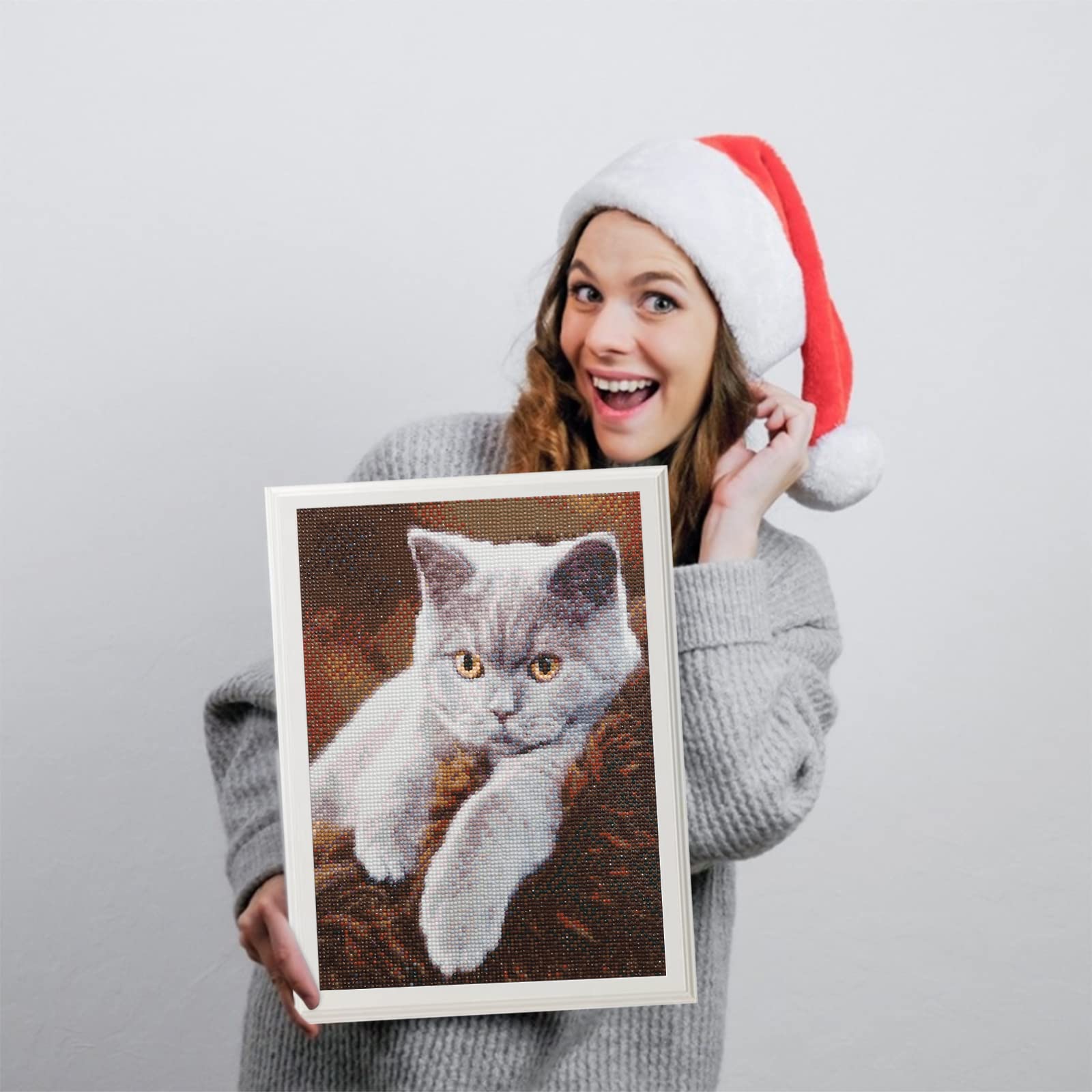 Kit Diamond Painting Gatto 5D - Quadro Con Strass Per Decorazione Casa 30x40cm - Foto 5