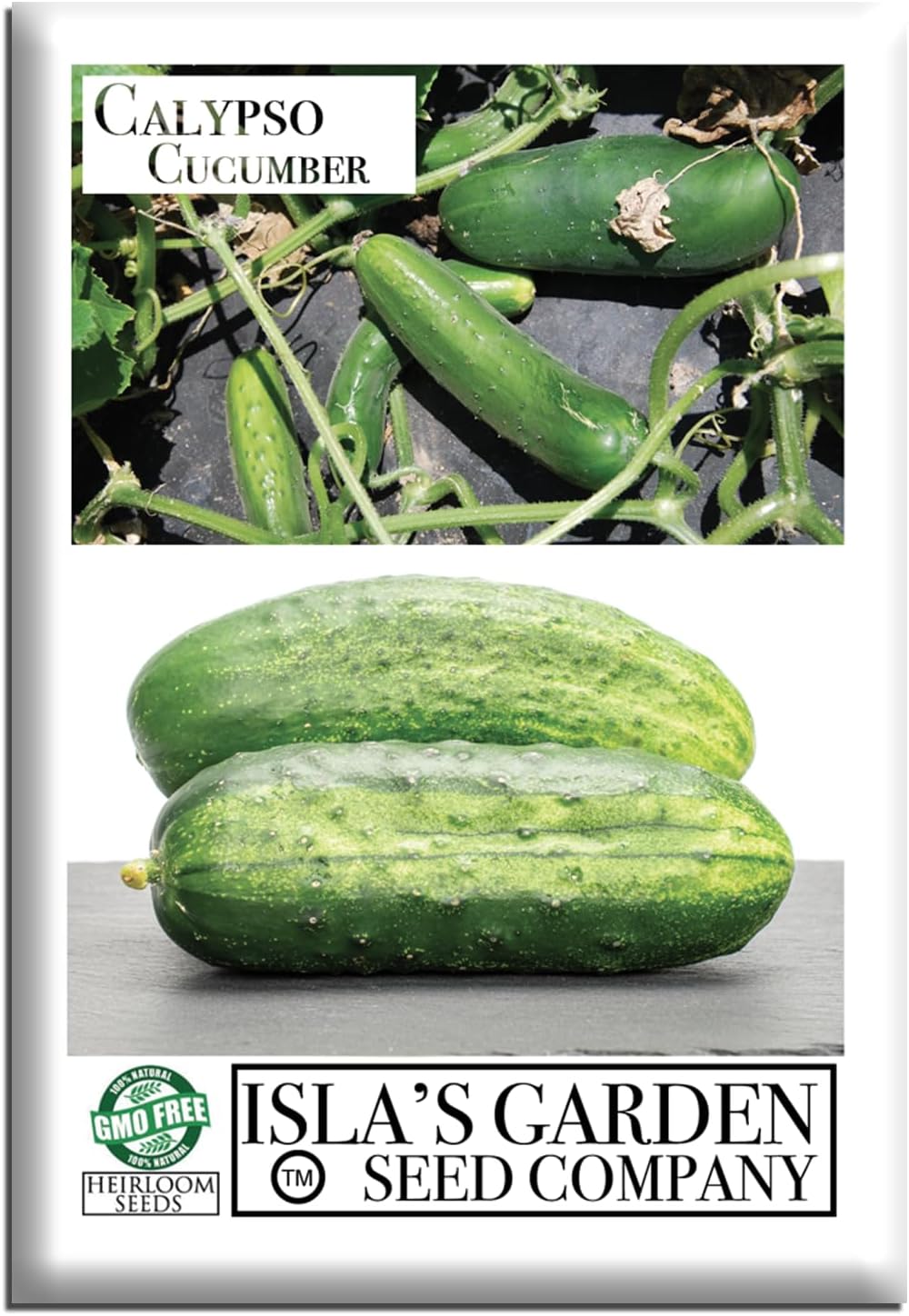 Calypso Cucumber Seeds for Planting, 25+ Heirloom Seeds Per Packet, (Isla's Garden Seeds), Non GMO Seeds, Botanical Name: Cucumis Sativus, Great Home Garden Gift