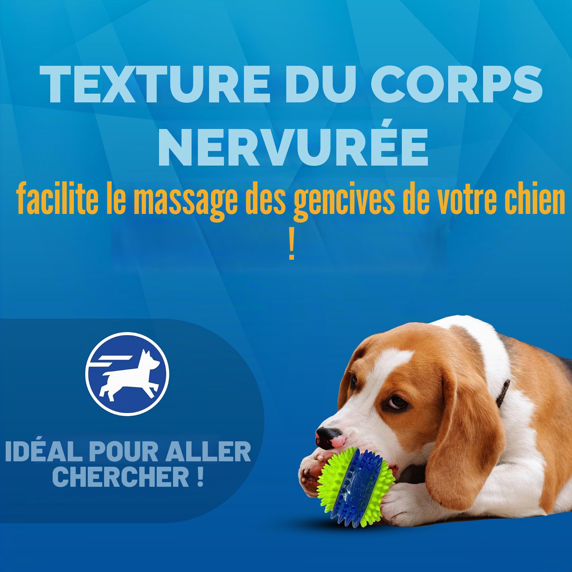 Nerf Dog Coffret cadeau jouet : balle en caoutchouc de 9,7 cm, balle couinante en caoutchouc thermoplastique translucide de 6,9 cm, balle couinante et ballon de football couineur en caoutchouc de 15,2