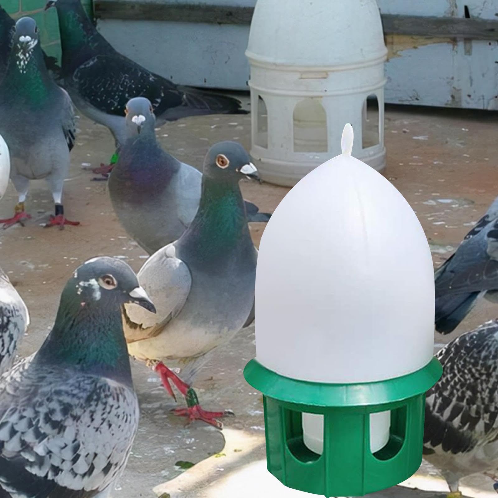 rockible Abreuvoir pour Pigeons, Abreuvoir pour colombes, Automatique, Distributeur d'eau pour Oiseaux, pour calopsittes, paons, tourtereaux, 6L Vert