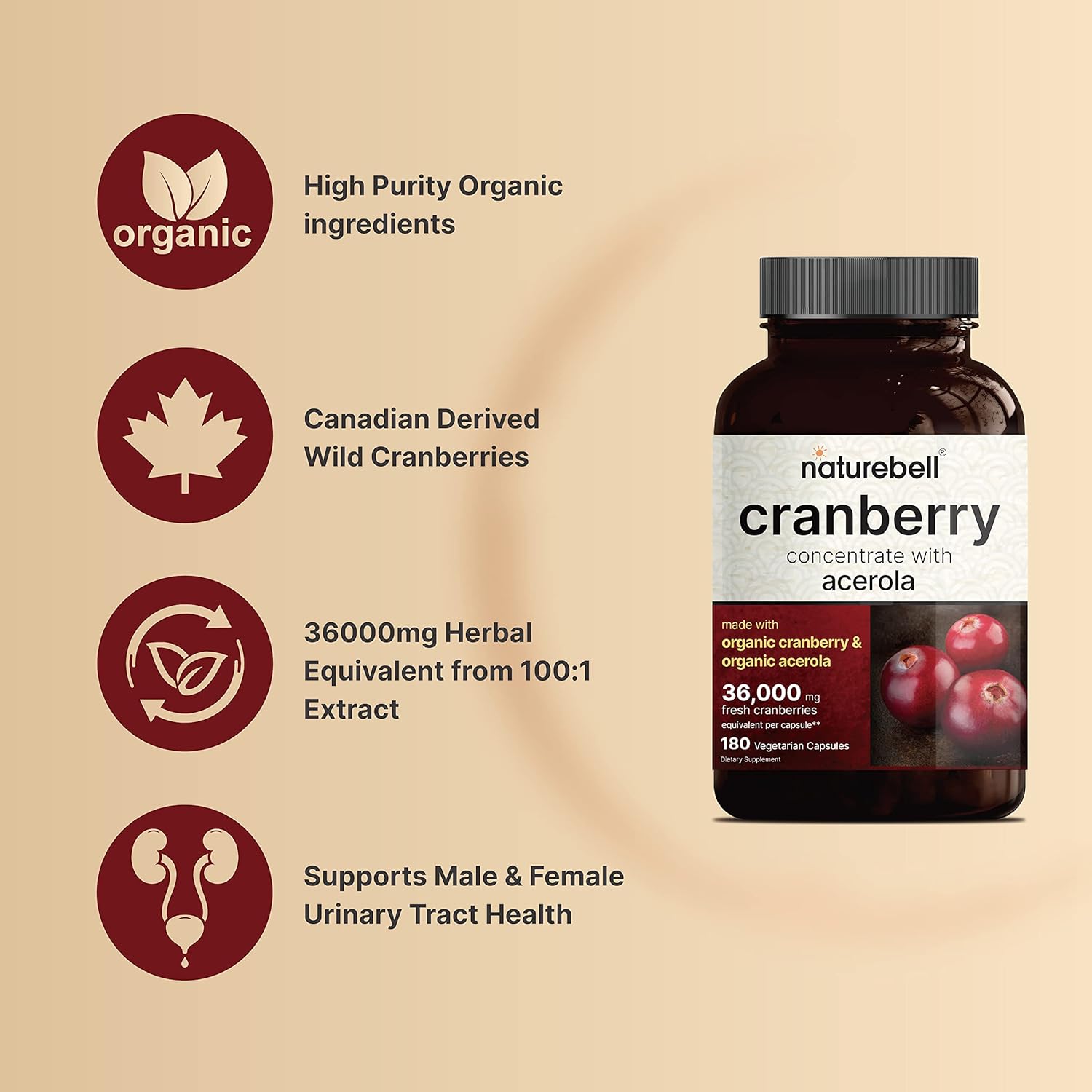 Double Strength Cranberry Pills, Made with Organic Wild Cranberry Extract Plus Acerola 25mg, 180 Vegan Capsules, 36000mg Fresh Cranberries Equivalent, Support Urinary Tract Health, Sugar Free : Health & Household
